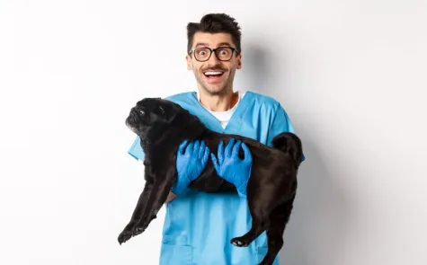 Radiografia Radiografia