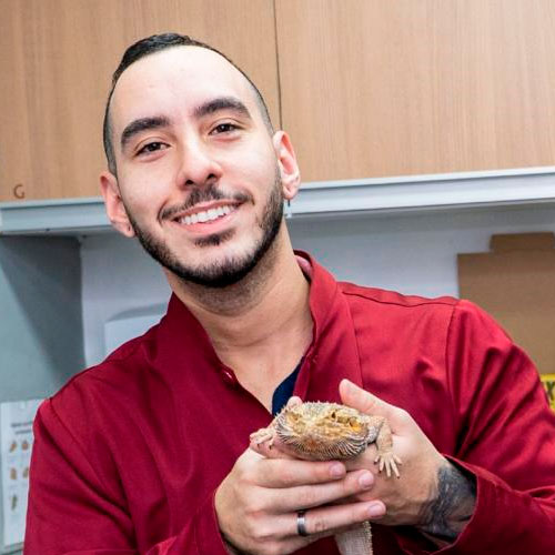 Dr. Matheus Leite Dr. Matheus Leite
