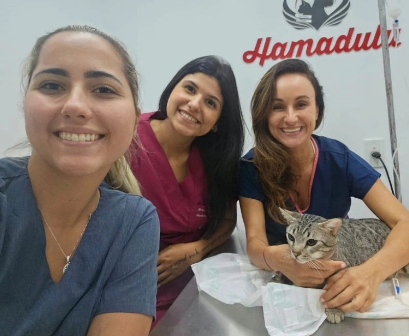 Hamadulu Hamadulu